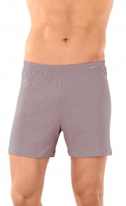 Boxer