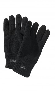 Gants